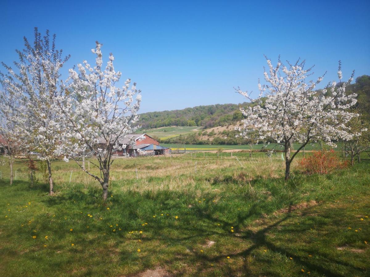Nature Monchy Campneuseville Exterior photo